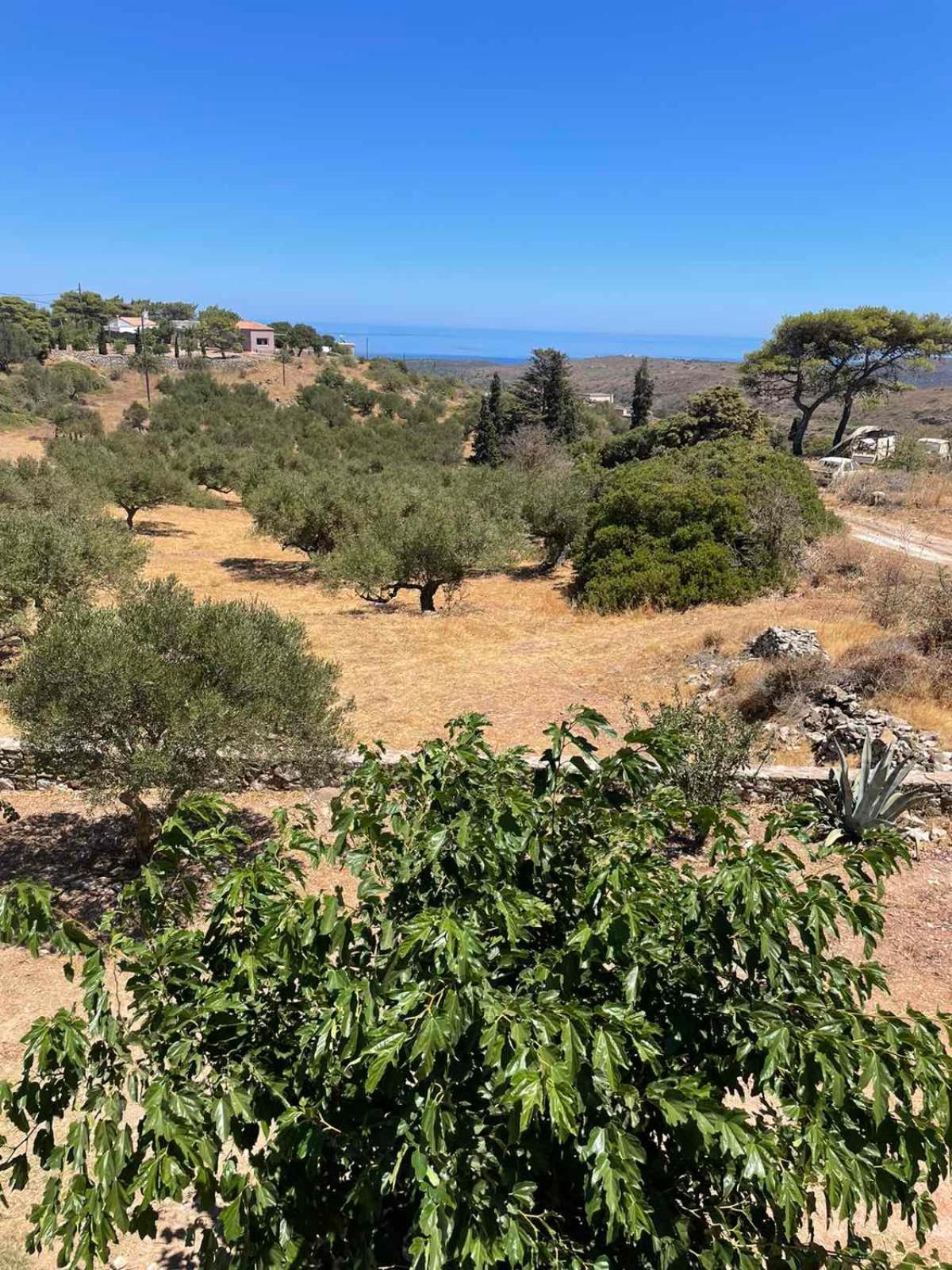 Theros House Agios Ilias  Exterior photo